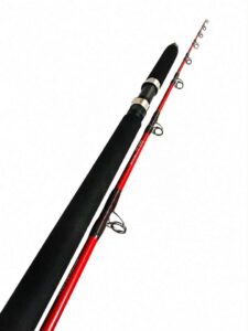 CANNE TRAINE HONOREAL 1M80