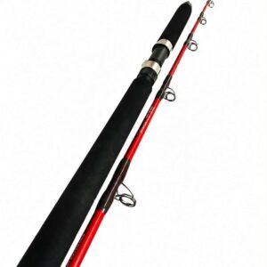CANNE TRAINE HONOREAL 1M80